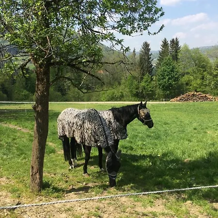 Traum Im Salzkammergut
