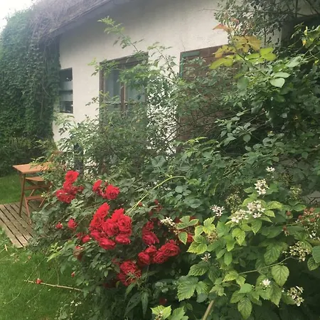 公寓 Traum Im Salzkammergut 特劳恩基兴